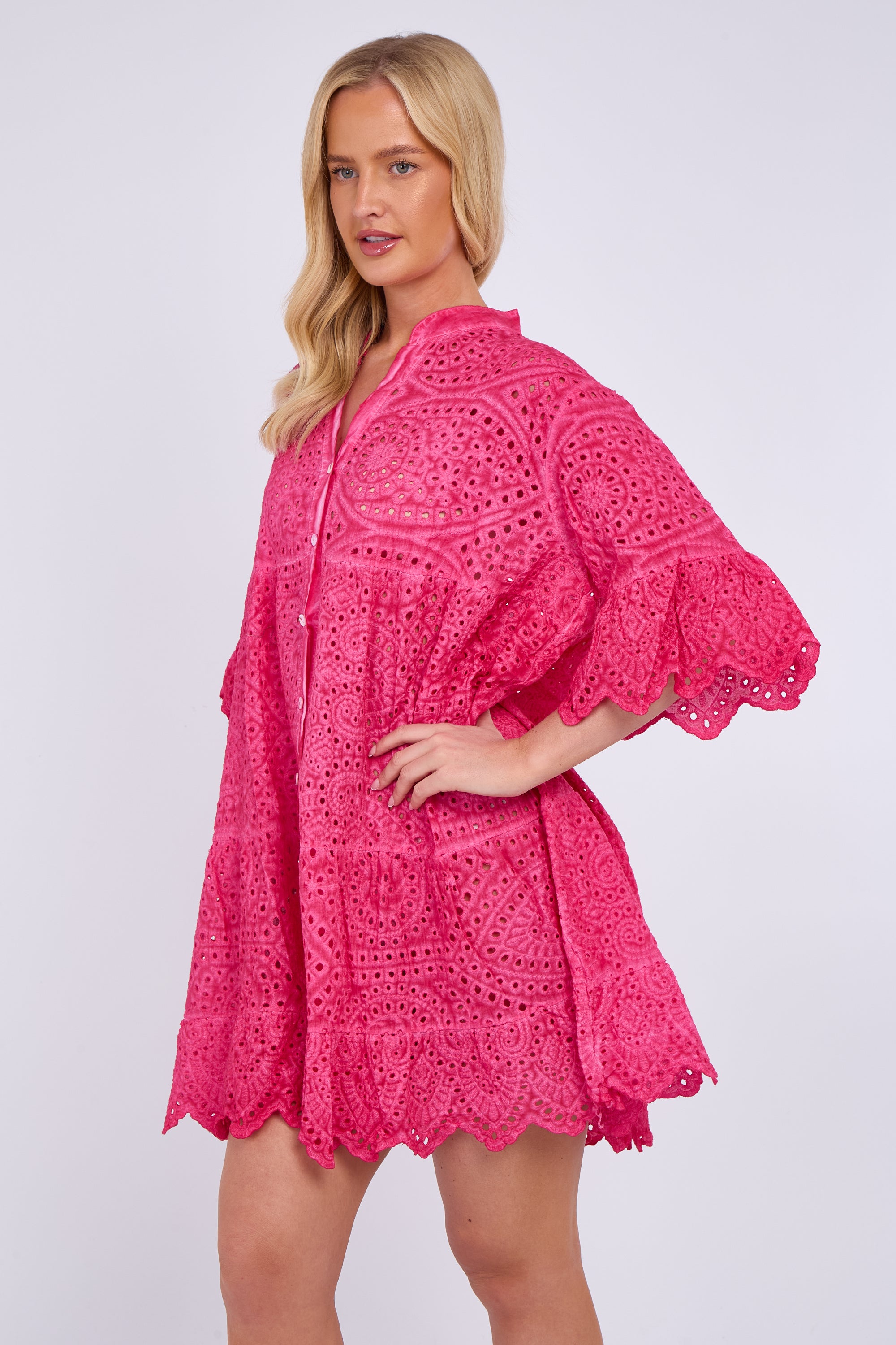 Broderie Lace Button Front Mini Dress